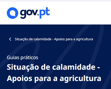 APOIOS PÚBLICOS AOS AGRICULTORES AFETADOS PELA TEMPESTADE KRISTIN