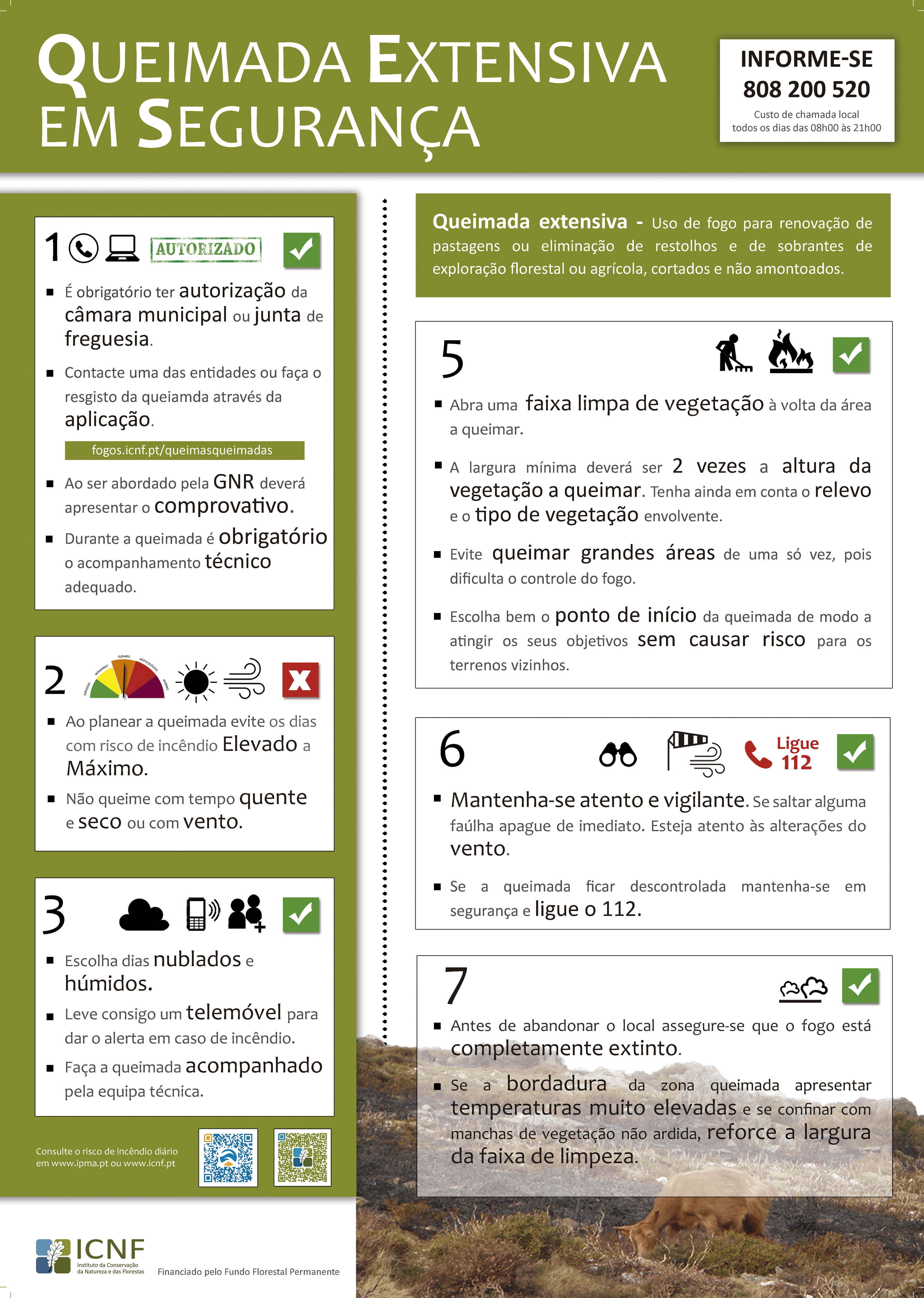 Queimada 2019