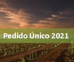  Pu2021 v2
