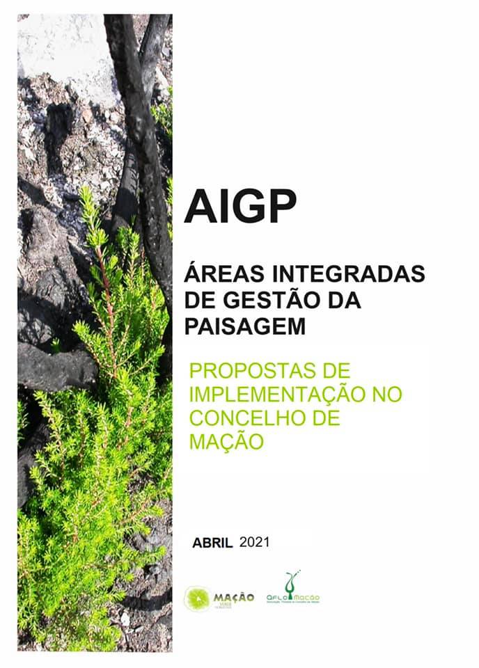 aigp